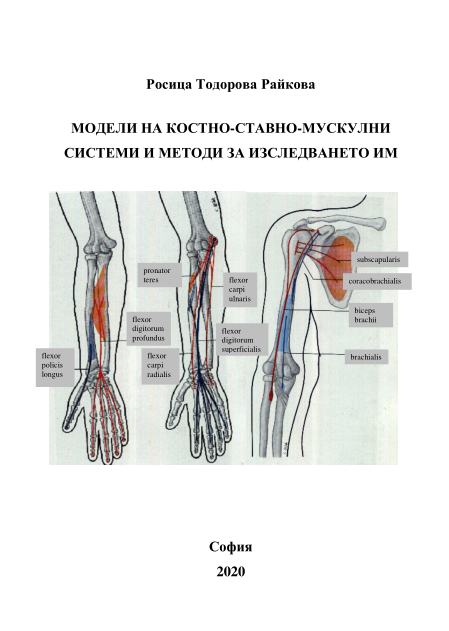 Модели на костно-ставно-мускулни системи и методи за изследването им